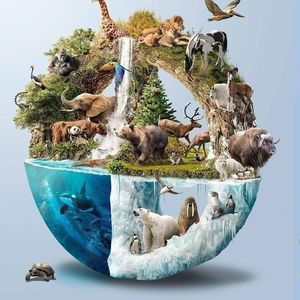 Meet your Posher, Mejía